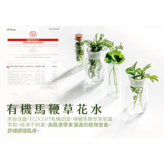 【古寶無患子】檸檬馬鞭草洗面乳180g(溫和/控油/透亮/清爽)