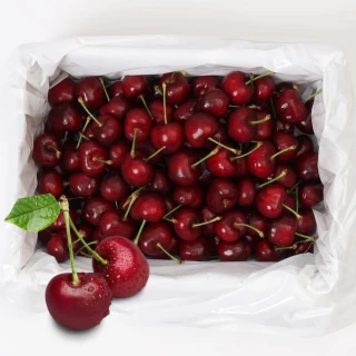 【RealShop】智利空運鮮採XJ/9.5R-10R櫻桃禮盒1kg±10%(2-3JD智利櫻桃 真食材本舖)
