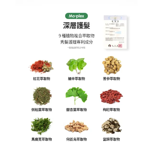 【LAVIEN 樂薇昂】絲滑柔順頭皮養護全效護髮乳500ml(頭皮養護/強化髮根/柔順護理)