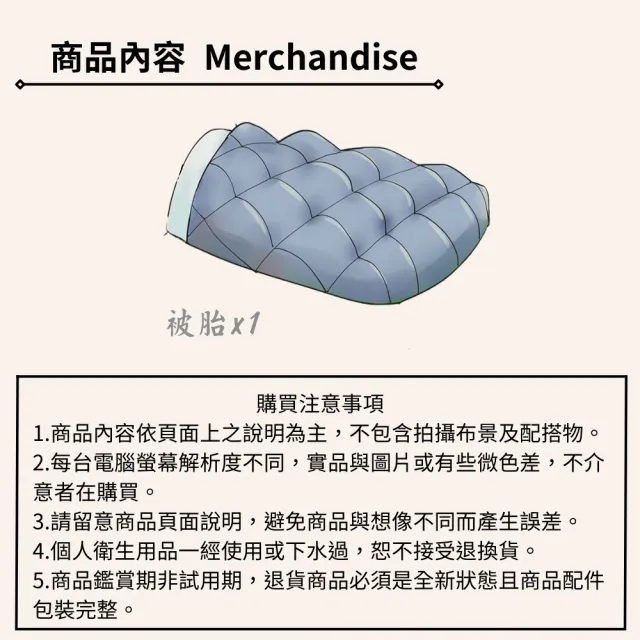 【Jenny Silk 蓁妮絲】台灣製 可水洗法蘭絨暖暖被 保暖懶人被 免裝被套(台灣被 5款可選)