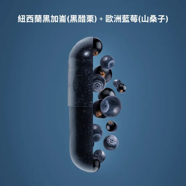 【Isbjorn 北極熊保健專家】南極磷蝦油添加魚油膠囊一瓶+Medox花青素膠囊一盒(保健禮盒120顆/瓶+30顆/盒)
