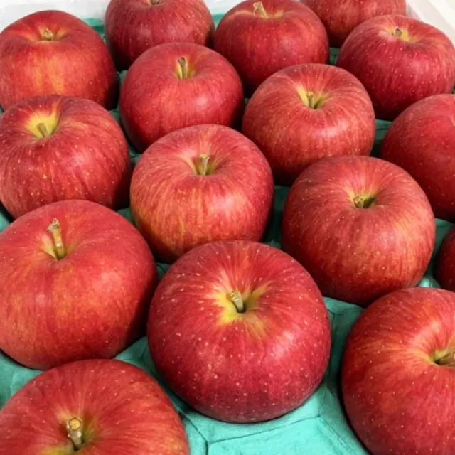 【RealShop】日本紅顏姬蘋果10kg±10%x1箱 原箱出貨(共28-32顆 真食材本舖)