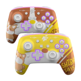 【FlashFire】柴語錄授權 Switch/PC副廠無線遊戲手把(喚醒 巨集循環 自動連發 寶可夢ZA)