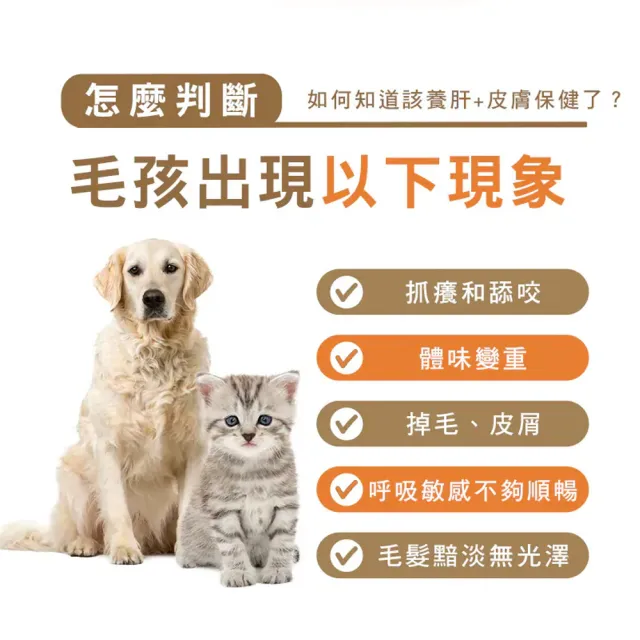 【HOMI 毛與家】肌優股 皮毛保健粉-30包x5盒(寵物益生菌 皮膚保健 狗益生菌 貓咪益生菌 貓保健品 犬貓適用)
