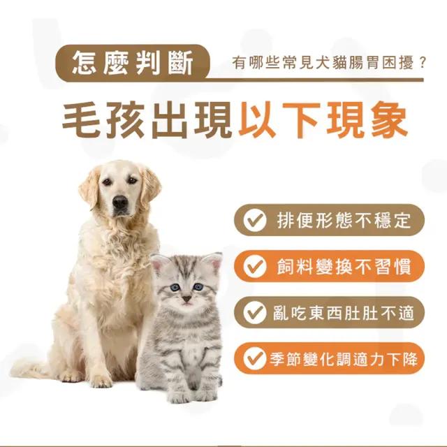【HOMI 毛與家】腸胃淨 寵物益生菌保健粉-30包x3盒(貓咪益生菌 狗狗益生菌 腸胃保健品 犬貓適用)