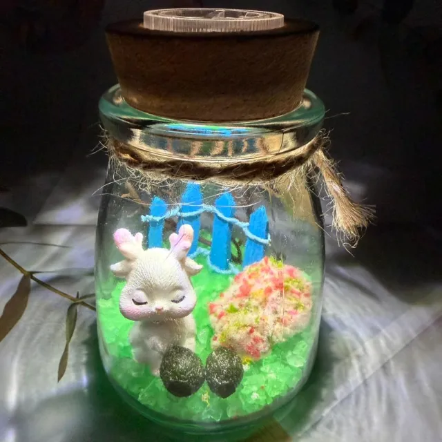 【A-ONE 匯旺】坐睡小鹿 綠藻球水草生態微景觀 含2顆綠藻 白光LED 150ml布丁杯 DIY創意瓶