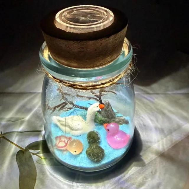 【A-ONE 匯旺】戲水天鵝 微景觀水培植物瓶 含2顆綠藻 白光LED 150ml布丁杯 DIY綠藻球微景觀瓶