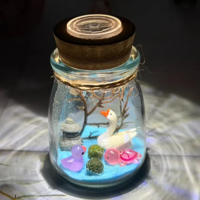 【A-ONE 匯旺】展翅天鵝 綠球藻瓶 含2顆綠藻 白光LED 150ml布丁杯 DIY微景觀生態水草盆栽組