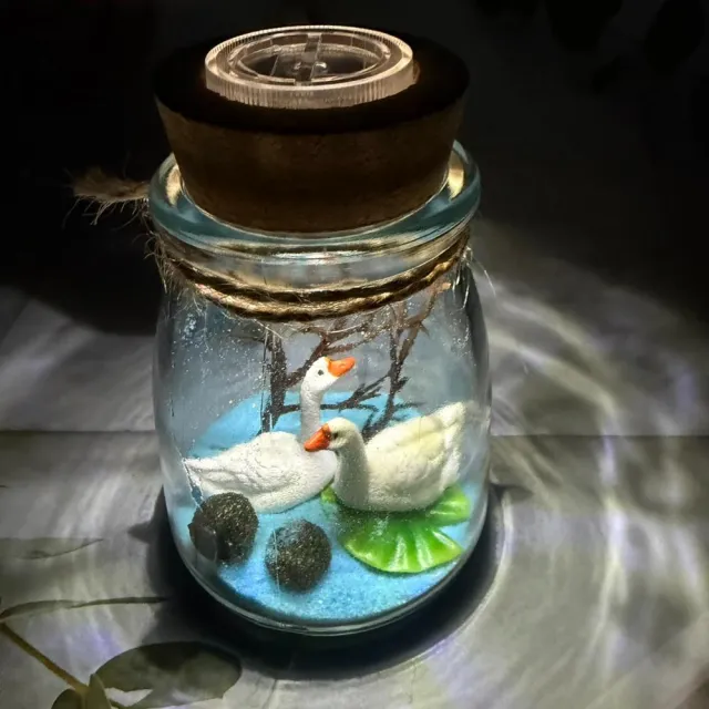 【A-ONE 匯旺】2隻游泳天鵝 DIY水培生態瓶 含2顆綠藻 白光LED 150ml布丁杯 綠藻球小盆栽 懶人植物