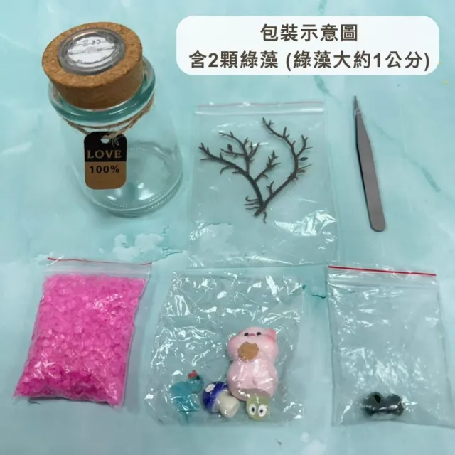 【A-ONE 匯旺】萬聖節 死神 綠藻球微景觀瓶 含2顆綠藻 白光LED 150ml布丁杯 DIY水培盆栽生態