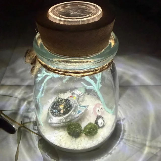 【A-ONE 匯旺】太空飛船 綠藻球生態水草 含2顆綠藻 白光LED 150ml布丁杯 DIY微景觀植物擺飾