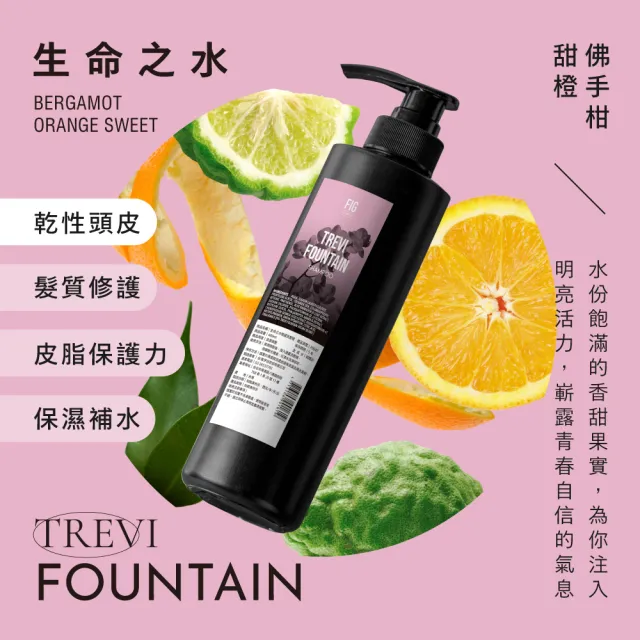 【伊聖詩】FIG 修護洗髮精480mlx2入(多款任選/晨曦朝露/陽光普照/雨過天晴/生命之水)