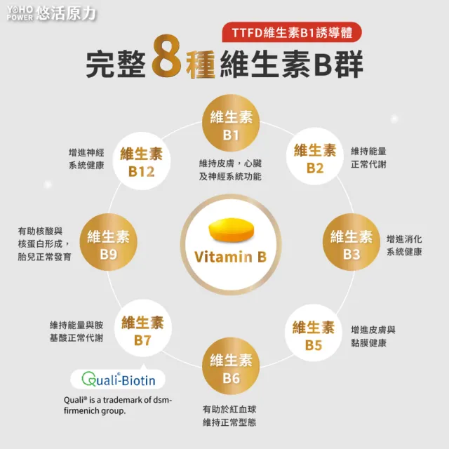 【悠活原力】原力緩釋維生素B群 緩釋膜衣錠X3盒(60粒/瓶 180粒 添加葉酸 牛磺酸 鋅)