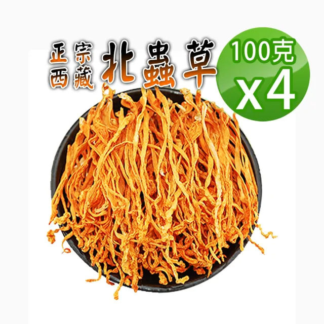【蔘大王】黃金蟲草 蟲草花 北蟲草（100gX4）(長效期版 正西藏產 活力高氧 提高戰鬥力 檢驗良品)