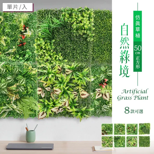 【dayneeds 日需百備】仿真草植-自然綠境 50cm正方形 混合款05(植生牆/仿真植物牆/植草磚/植物牆)