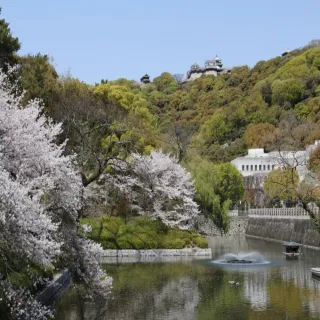 【喜鴻假期】【高雄出發．九州四國溫泉６日】別府道後溫泉、廣島牡蠣、嚴島神社、琉璃光寺、雙名城