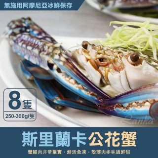 【優鮮配】XL｜斯里蘭卡｜公花蟹250-300g ｜8隻(250-300g/隻)