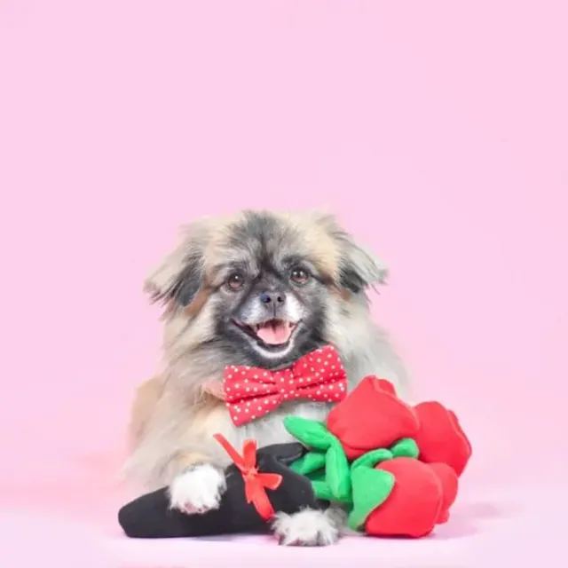 【ZippyPaws】仿真小物品-節慶玫瑰花束(寵物玩具 有聲玩具 益智玩具)
