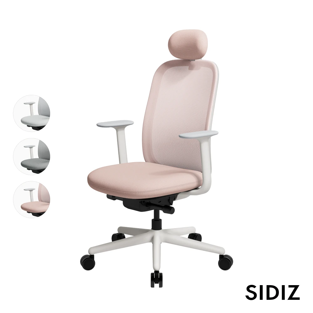 SIDIZ T20網背人體工學椅 SIDIZT20網背人體工學椅,辦公椅電腦椅人體工學椅)