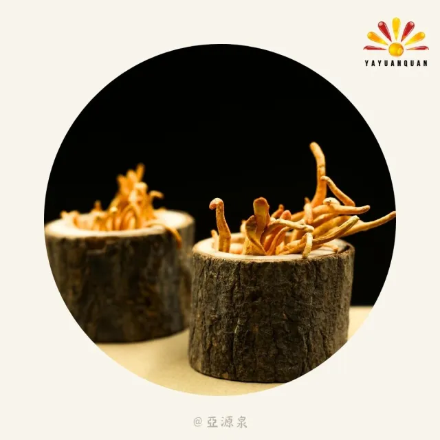 【亞源泉】北蟲草 200g/包 蟲草花 黃金蟲草 1入組(北蟲草 蟲草花 蛹蟲草)