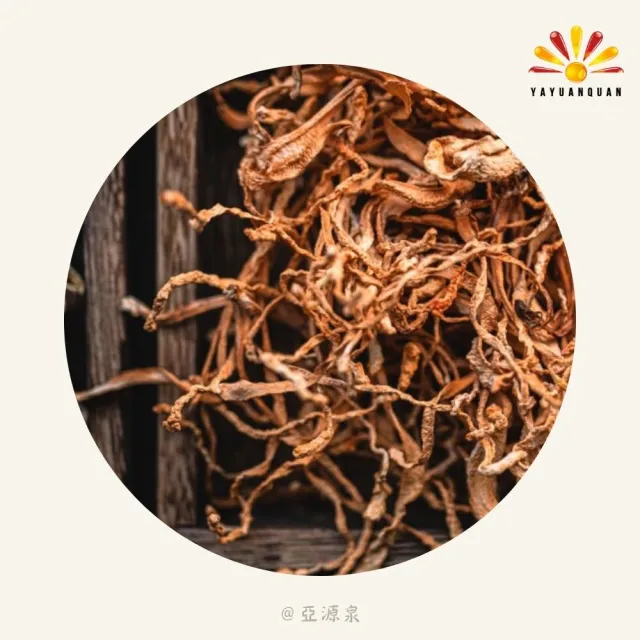 【亞源泉】北蟲草 200g/包 蟲草花 黃金蟲草 1入組(北蟲草 蟲草花 蛹蟲草)
