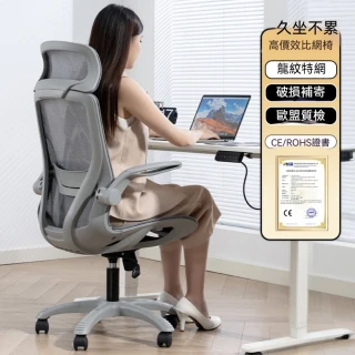 【新川】人體工學椅 電腦椅 辦公椅 會議椅(家用舒適久坐椅 書桌椅 學習椅 靠背椅 電競椅)