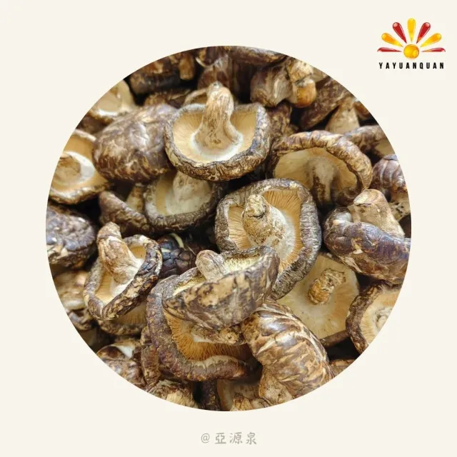 【亞源泉】椴木花菇  量批發 3公斤