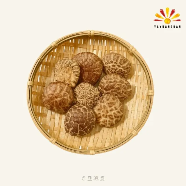 亞柏林 椴木花菇 量批發 3公斤