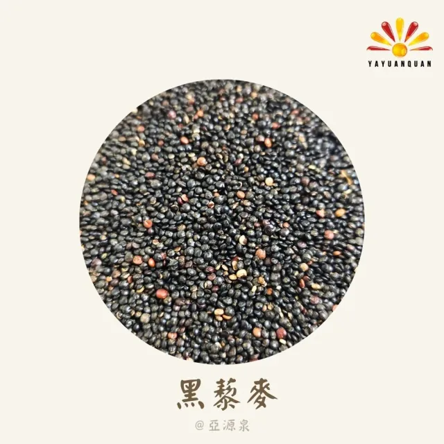 亞柏林 藜麥 量批發 紅/白/黑 三種任選  5公斤(三種藜麥任選)