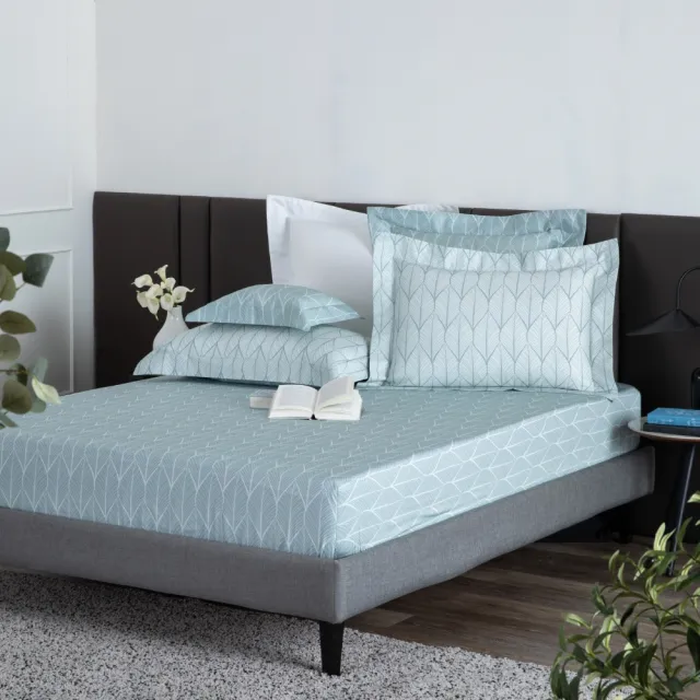 【WEDGWOOD】經典印花 床包枕套三件組(雙人｜天絲/長纖棉 任選)