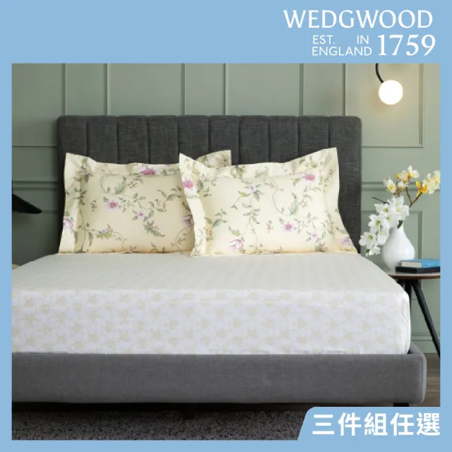 【WEDGWOOD】經典印花 床包枕套三件組(特大｜天絲/長纖棉 任選)