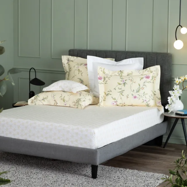 【WEDGWOOD】經典印花 床包枕套三件組(特大｜天絲/長纖棉 任選)