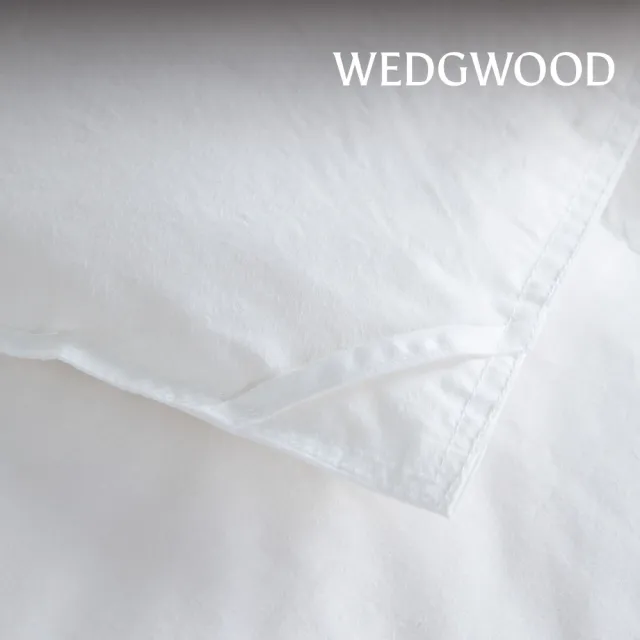 【WEDGWOOD】90%法國白鴨絨 抗菌羽絨薄被(雙人180x210cm｜填充400g)