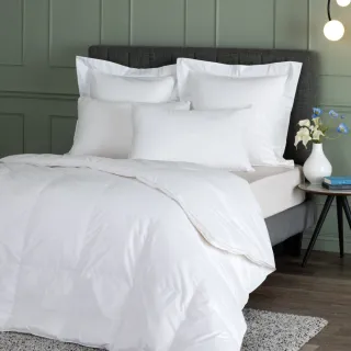 【WEDGWOOD】90%法國白鴨絨 抗菌羽絨薄被(加大 240x210cm｜填充600g)