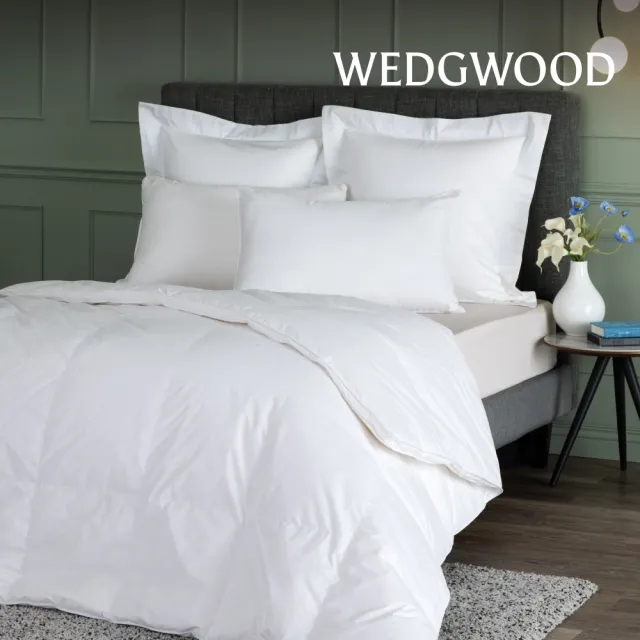 【WEDGWOOD】90%法國白鴨絨 抗菌羽絨薄被(加大 240x210cm｜填充600g)