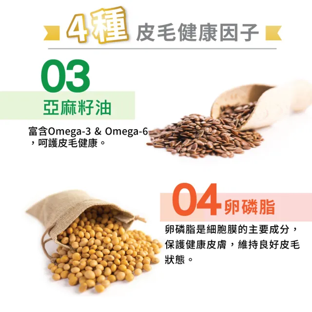 【Balance 博朗氏】美毛魚油幼母貓飼料7kg*2入組 (幼貓飼料/懷孕貓飼料/貓乾糧/貓糧/美毛飼料/官方直營)