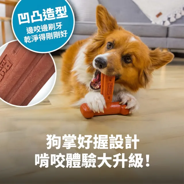 【Petstages】T型BBQ史迪克 寵物玩具 牛肉風味 潔牙 脊狀凹槽方便啃咬 狗玩具