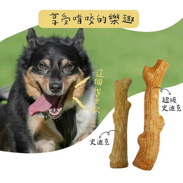 【Petstages】超級史迪克 寵物玩具 木頭風味 M 潔牙 耐咬 狗玩具