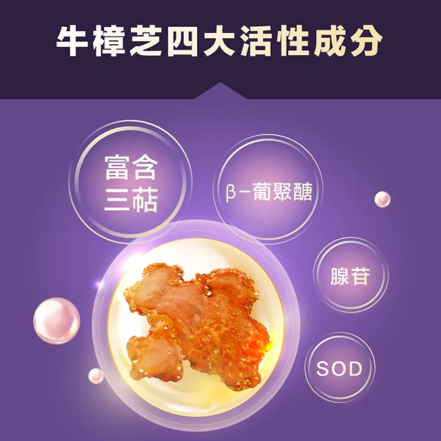 【狀元堂】牛樟芝精神旺盛組(典藏牛樟芝膠囊1盒+牛樟芝段木子實體口含顆粒1盒/江宏恩代言/保健禮盒)