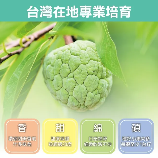 【WANG 蔬果】台東大目釋迦_特大果4-5顆x2箱(5斤/箱_果農直配)