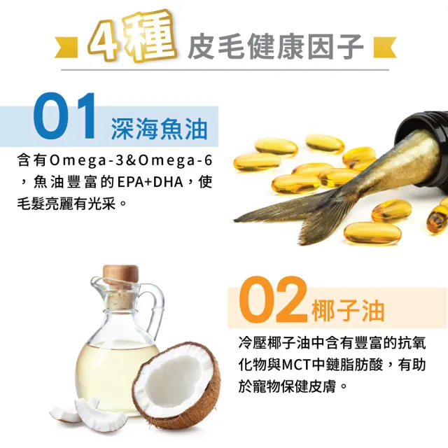 【Balance 博朗氏】美毛魚油狗飼料-成齡犬1.8kgx10入組(羊肉鮭魚卵磷脂/狗乾糧/犬糧/成犬飼料/美毛飼料)