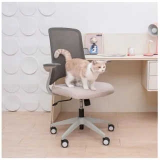 【Artso 亞梭】Tabby 椅(電腦椅/辦公椅/椅子/自行組裝)