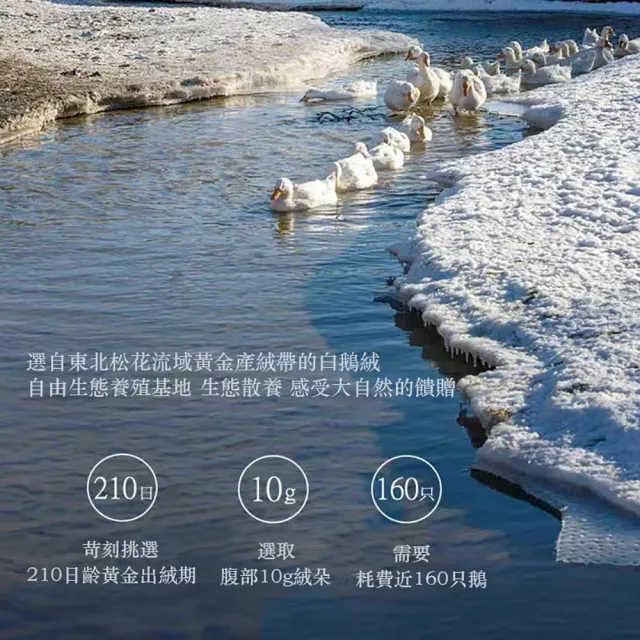 【Hilton 希爾頓】鵝絨被 春秋季羽絨被180*220CM(大朵鵝絨 雙人保暖棉被)