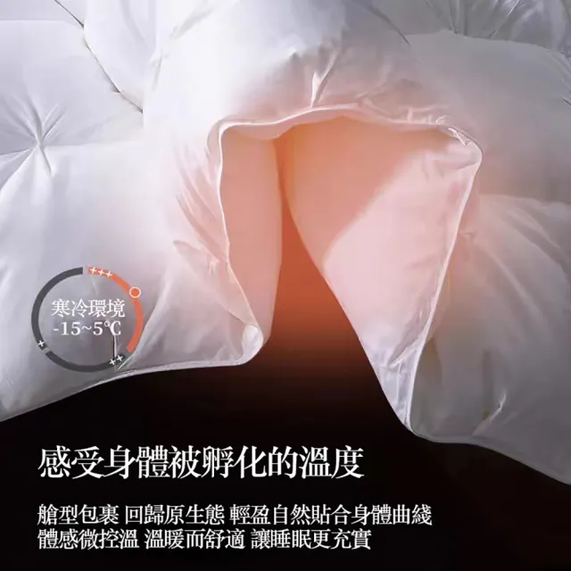 【Hilton 希爾頓】鵝絨被 春秋季羽絨被180*220CM(大朵鵝絨 雙人保暖棉被)