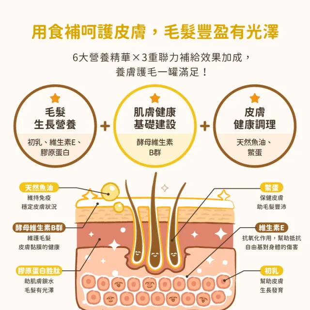 【汪喵星球】亮毛護膚鱉蛋粉 60g(犬貓保健)