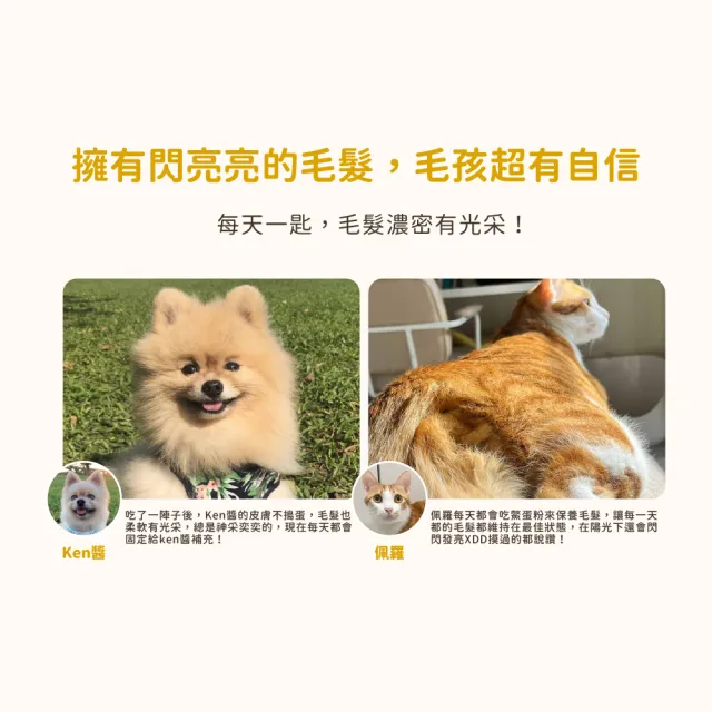 【汪喵星球】亮毛護膚鱉蛋粉 60g(犬貓保健)