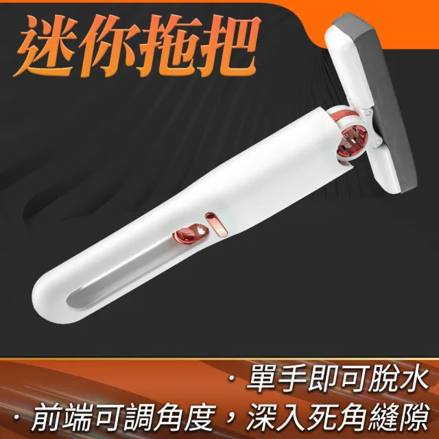 【楠科太太】迷你拖把 2入小拖把 車載小拖把 擦玻璃神器 清潔拖把 618-MMOP25(強力吸水 乾濕兩用)
