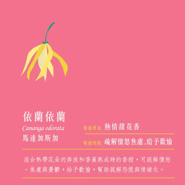 【愛爾蘭-自然之事】人氣精油任2入放鬆冥想財運(薰衣草/檀香/玫瑰/伊蘭/鼠尾草/丁香/佛手柑)