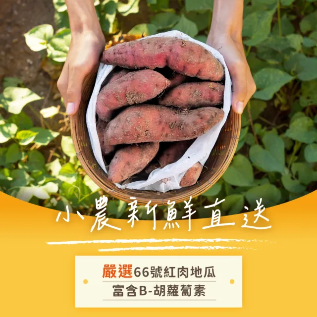 【iPaw】單一成分地瓜條 100g/包(狗零食/地瓜條/台灣製造/寵物零食)