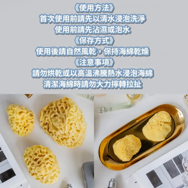 【BIOESTI】希臘地中海天然海綿蜂巢款9.5-11.5公分 一盒一入(洗臉/洗澡沐浴用)